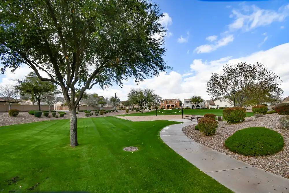 Lyons Gate | Neighborhood In Gilbert, AZ